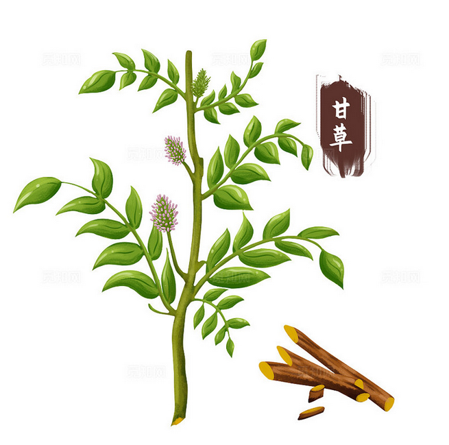 甘草
