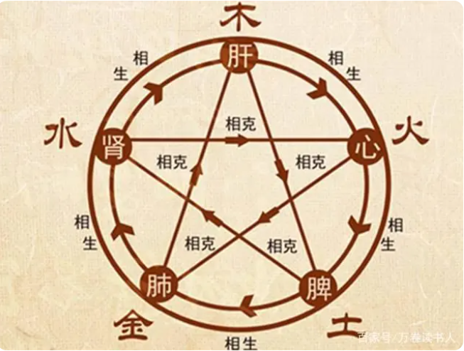中医药理论